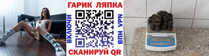 ГАШ Изолятор  Электрогорск 