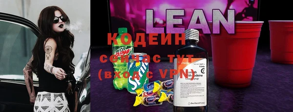 молекула духа Медногорск