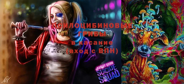 марки nbome Медвежьегорск