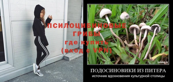 молекула духа Медногорск