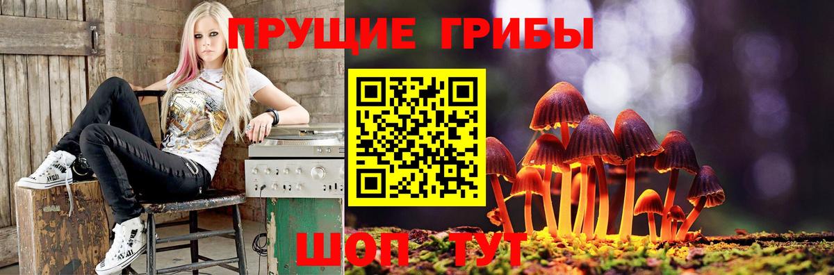 Галлюциногенные грибы прущие грибы Электрогорск